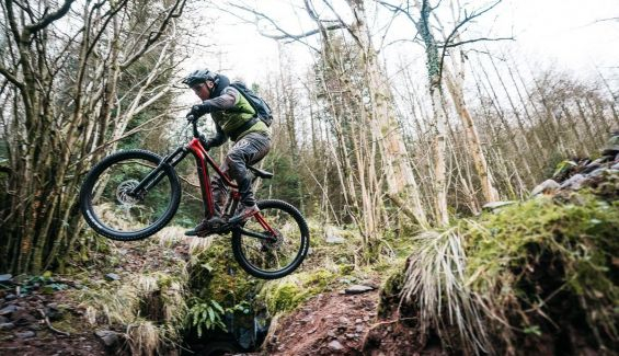 cranques mais curtos numa ebike são a norma