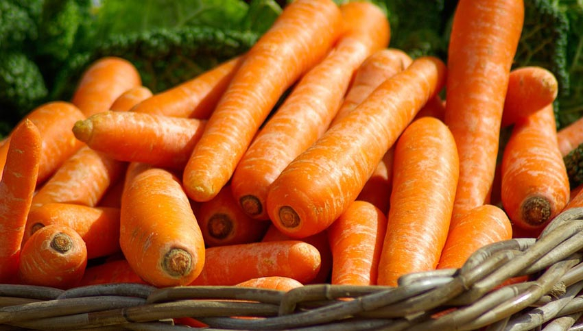 Os 10 melhores alimentos que os ciclistas devem comer no Inverno