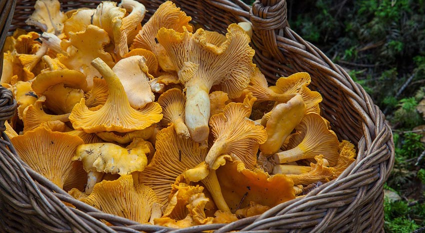 Os 10 melhores alimentos que os ciclistas devem comer no Inverno