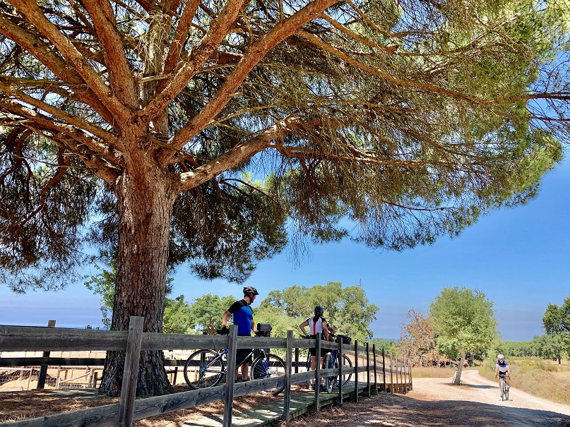 Bike around Portugal: etapa 2