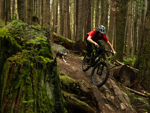 Bontrager tem novas rodas de BTT em carbono