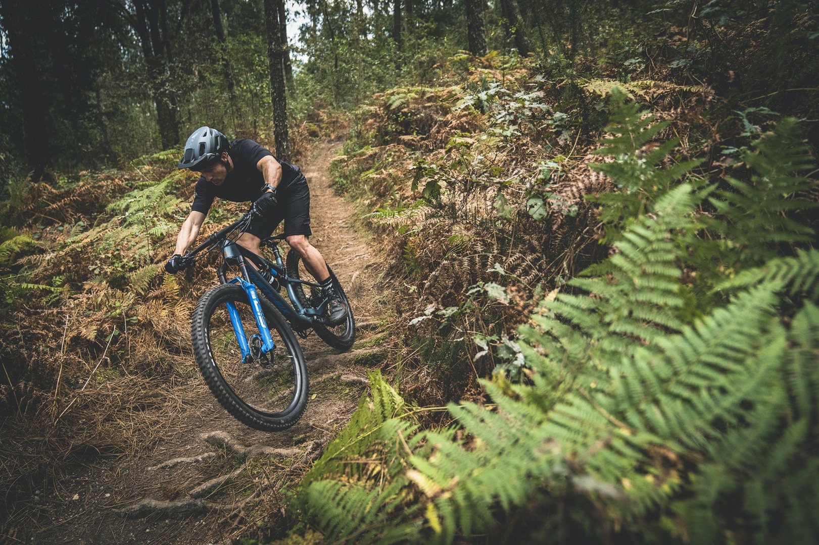 Nova Merida Ninety-Six em duas versões, XC e Down Country